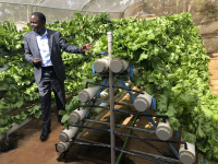 Hydroponics africa limited