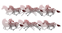 Horses, zebras & unicorns inc.