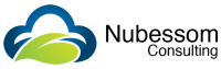 Cloudius - salesforce.com consulting