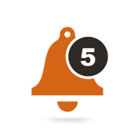 Iboomerang. com, inc.