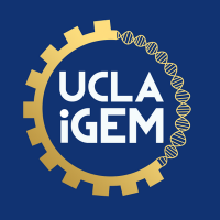 Ucla igem