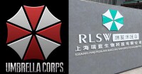 Igvision international corp. shanghai