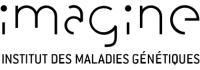 Imagine institute