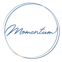 Momentum llc (us)