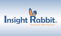 Insight rabbit