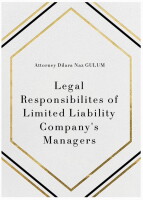 Intellegis llc
