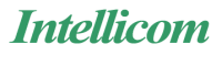 Intellicom systems inc