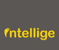 Intellige web technologies private limited
