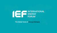 International energy investments