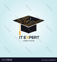 It experts