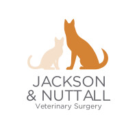 Jackson veterinary practice