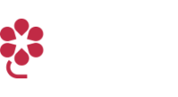 NARGY SL