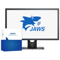 Jaws computer services inc