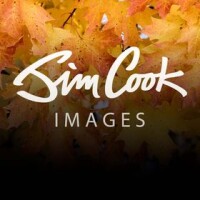 Jim cook images