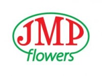 Jmp flowers