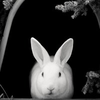 Joel anderson photography