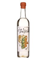Jolgorio de diseño