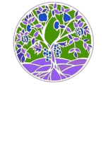 Joliet jewish congregation
