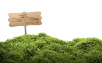Jungle interiors, s.r.o.