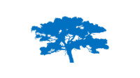Juniper investment company