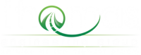 John thomas engineering, llc