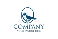 Bluebird images