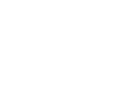 Zig