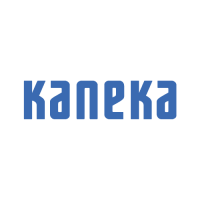 Kaneka ms polymer