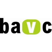 Bay Are Video Coallition