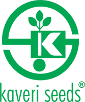 Kaveri seed company ltd