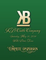 Kb cattle co