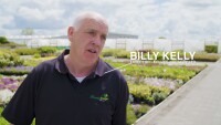 Kelly's nursery ltd