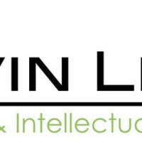 L. kevin levine, pllc