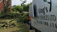 Kings tree services