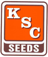 Kitchen seed company inc