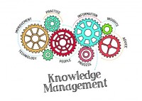 Knowledge management partners, llc