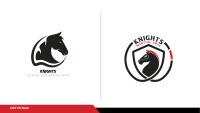 Knights martial arts