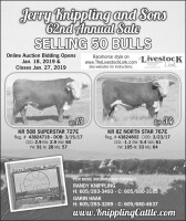 Jerry knippling & sons