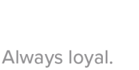 Laasie.ai
