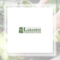 Kevin labadini corp