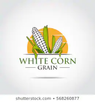 Corn Digital