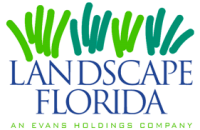 Landscape florida