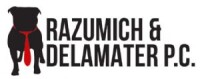 Razumich & delamater pc