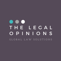 Legal opinion, llc