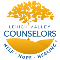 Lehigh valley counselors