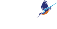 Kingfisher Print & Design