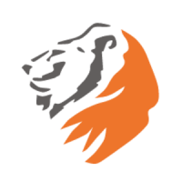 Leones risk management