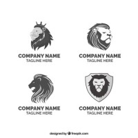 Leon srl