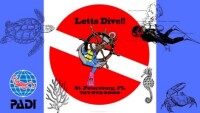 Letts dive!!