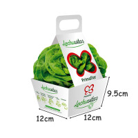 Lettuce box, inc.